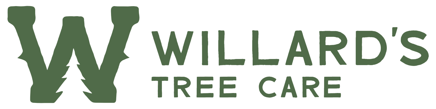 Willard's Tree Care